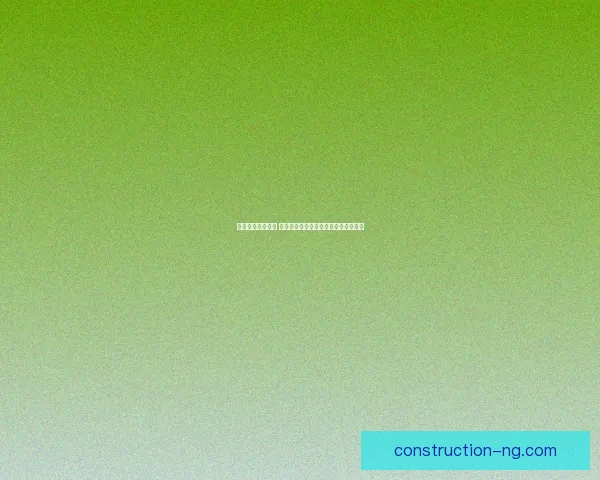 网球新星奋力崛起 击败世界排名前十选手勇夺大师赛冠军